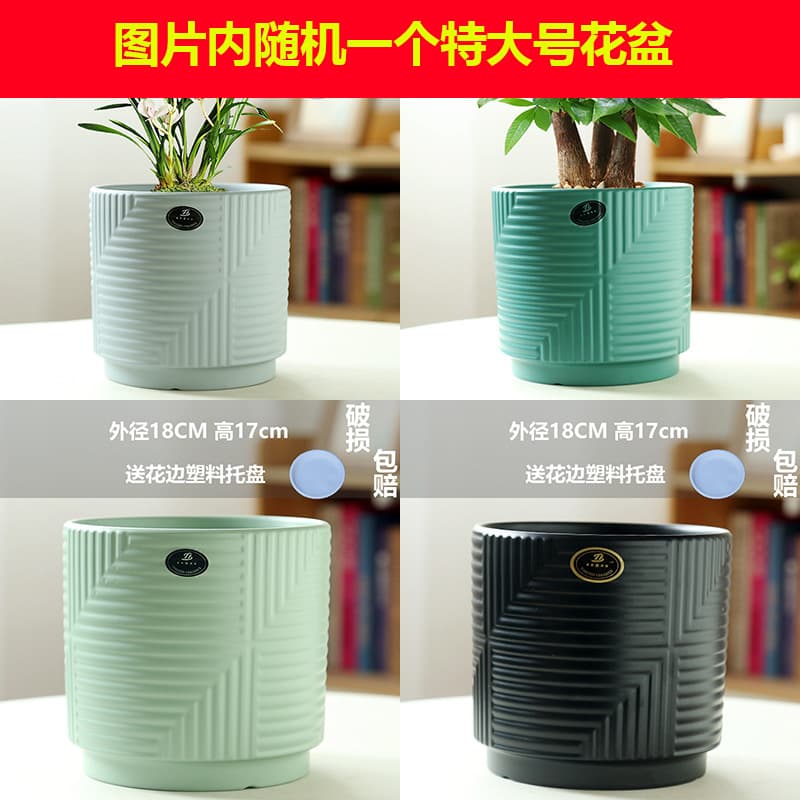 Manufacturer ceramic flower pot wholesale large personalized flower pot indoor simple succulent flower pot with tray TEMU labeling 10