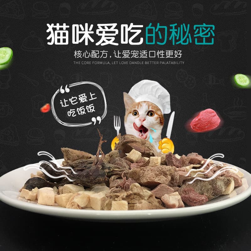 Freeze-dried snacks for pet dogs and cats, nutritious beef, duck, chicken liver, salmon 250g 500g for active dogs 2