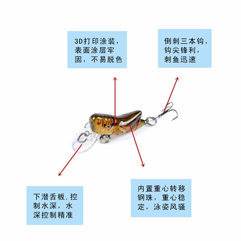 Lure bait, insect, grasshopper, bionic bait, painted plastic hard bait, fake bait, grass carp, silver carp and crucian carp, special killing bait cross-border factory 4