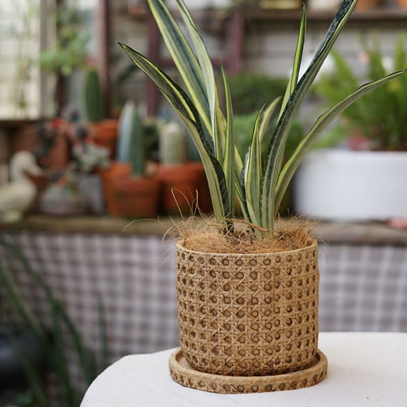 European retro cement flowerpot Mediterranean indoor potted woven bamboo personalized creative green plant pot large size 3