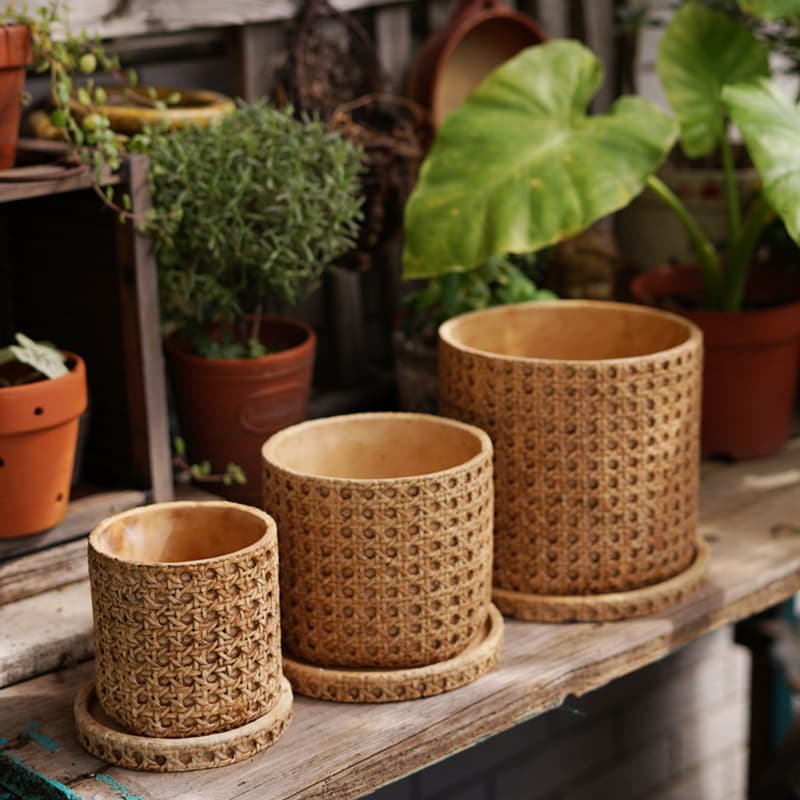European retro cement flowerpot Mediterranean indoor potted woven bamboo personalized creative green plant pot large size 5