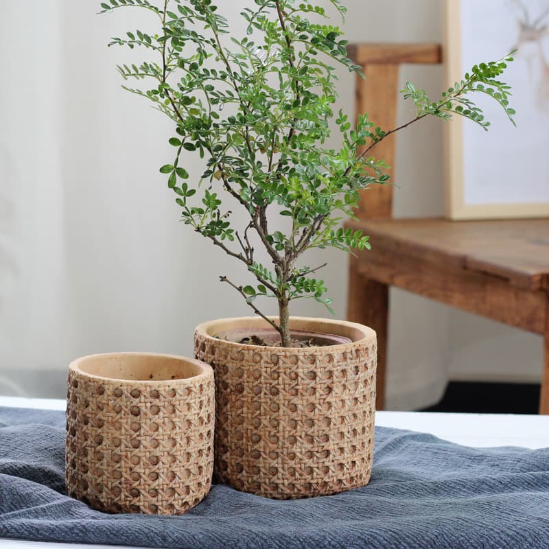European retro cement flowerpot Mediterranean indoor potted woven bamboo personalized creative green plant pot large size 1