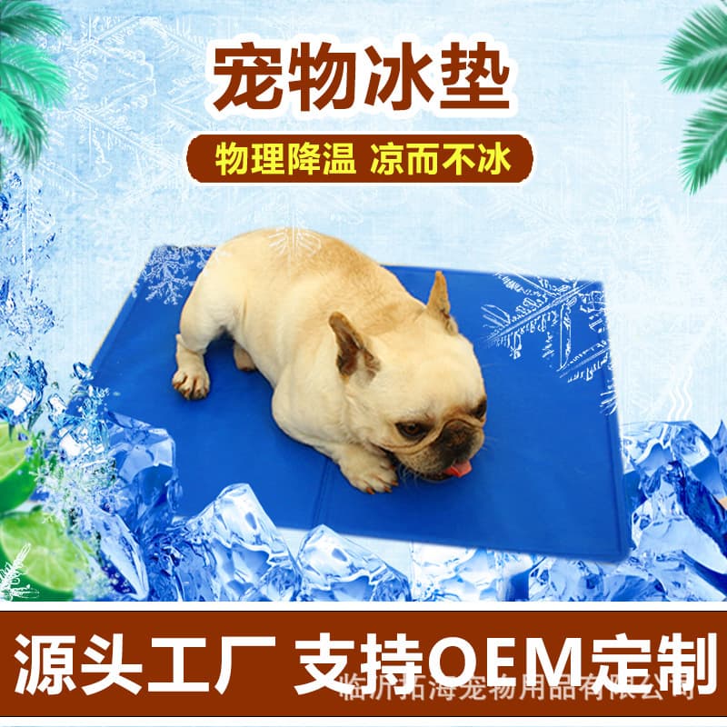Amazon cross-border pet ice mat for dogs and cats summer sponge cooling supplies pet cooling mat mat 1
