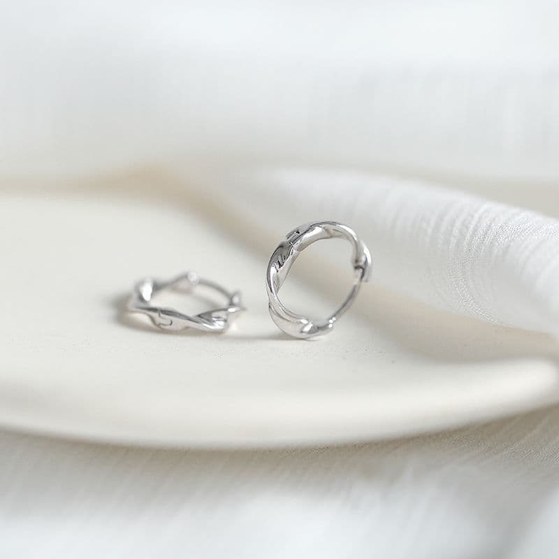 S925 silver earrings 2024 new trendy earrings for women with cold style niche circle earrings and versatile temperament 4