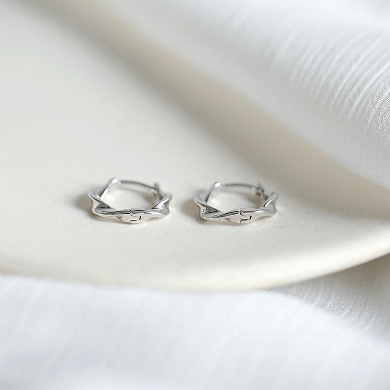 S925 silver earrings 2024 new trendy earrings for women with cold style niche circle earrings and versatile temperament 5