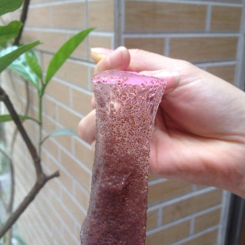 1000g Thai small particle seaweed facial mask hydrating and moisturizing beauty salon bag wholesale 4