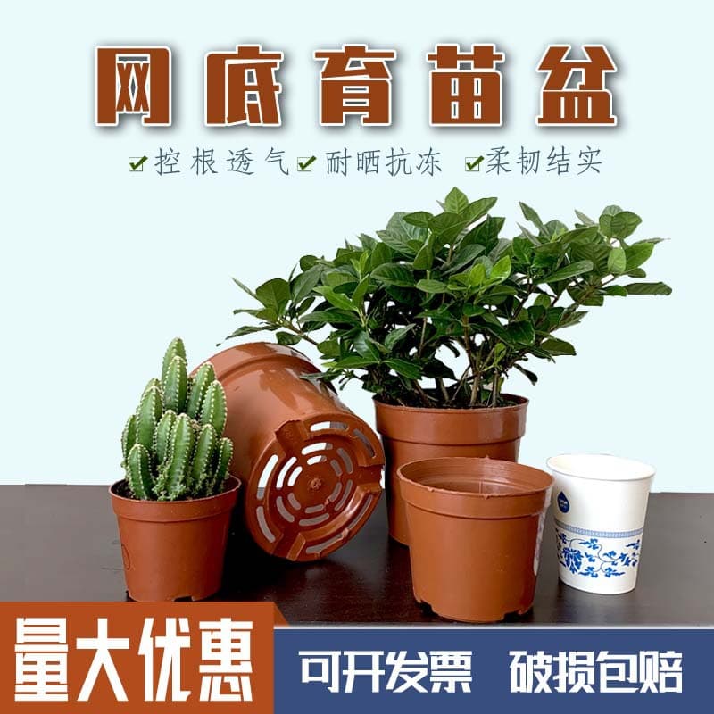 Succulent flower pot plastic thickened seedling net bottom basin base nursery simple flower pot indoor green plant hard breathable pot 3