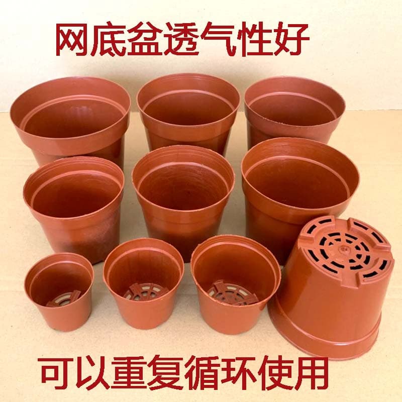 Succulent flower pot plastic thickened seedling net bottom basin base nursery simple flower pot indoor green plant hard breathable pot 4