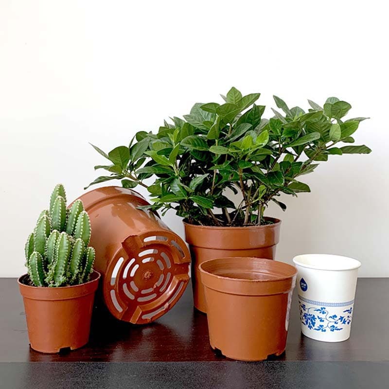 Succulent flower pot plastic thickened seedling net bottom basin base nursery simple flower pot indoor green plant hard breathable pot 5