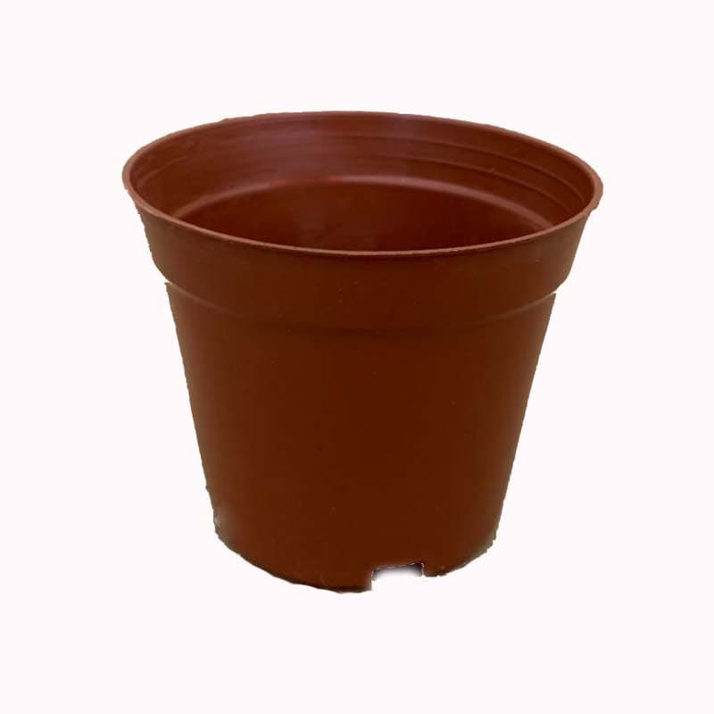 Succulent flower pot plastic thickened seedling net bottom basin base nursery simple flower pot indoor green plant hard breathable pot 6