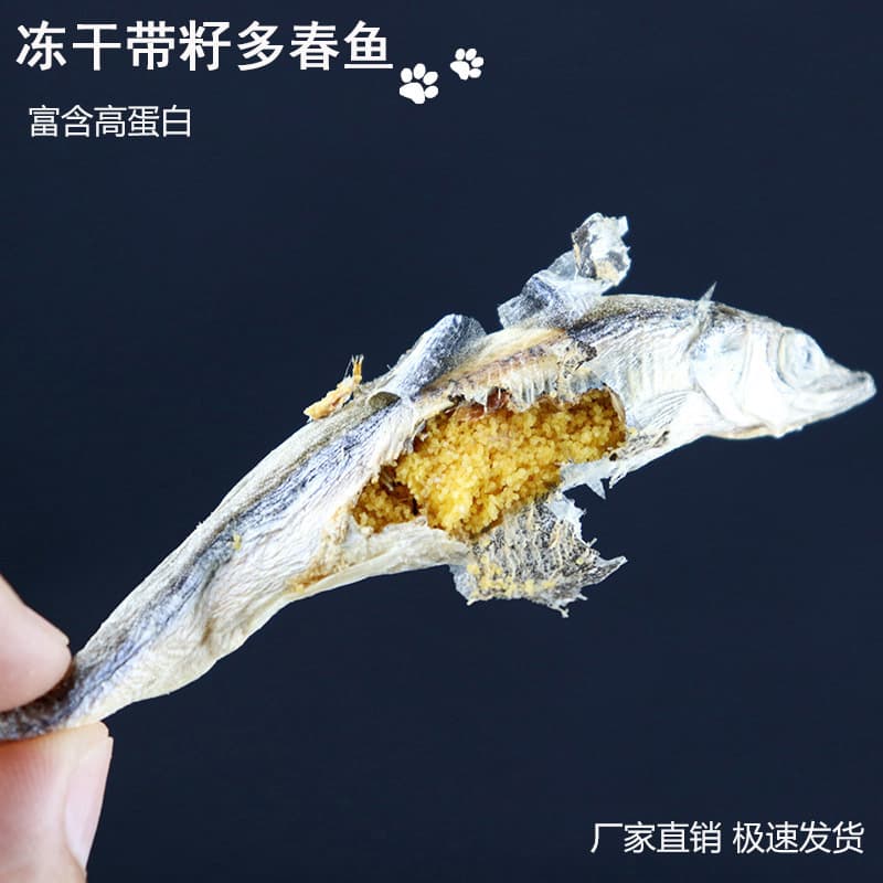 Pet snacks freeze-dried spring fish with seeds manufacturer wholesale dropshipping dried fish meat dog and cat snacks 1