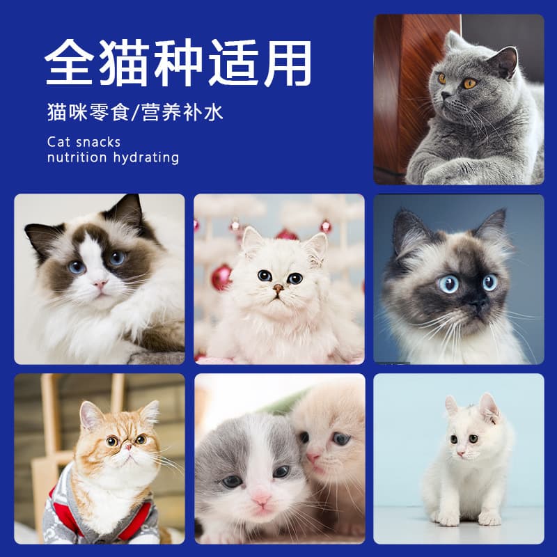 Ishtar Cat Bars Wholesale Cat Snacks Adult Cats and Kittens Nutrition Bars Pet Food Wet Food Packs Dropshipping 3