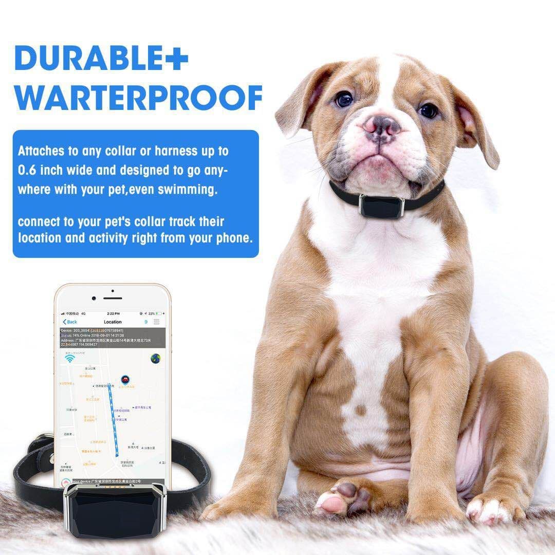 Pet locator GPS waterproof dog locator cat tracker collar cat and dog anti-lost device IP67 waterproof 3