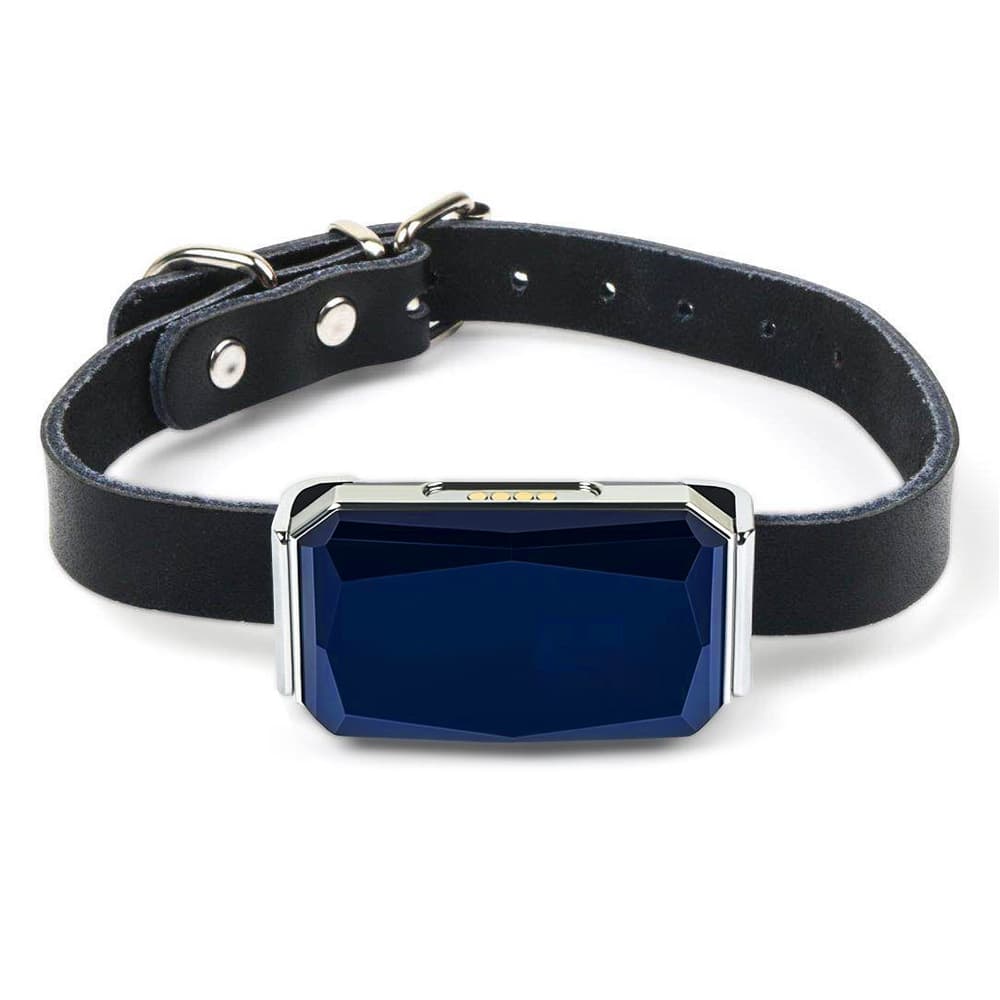 Pet locator GPS waterproof dog locator cat tracker collar cat and dog anti-lost device IP67 waterproof 1