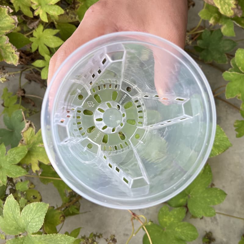 New Phalaenopsis Flower Pot Qingshan Root Control Perforated Flower Pot Philodendron Bamboo Alocasia Indoor Transparent Flower Pot Wholesale 4