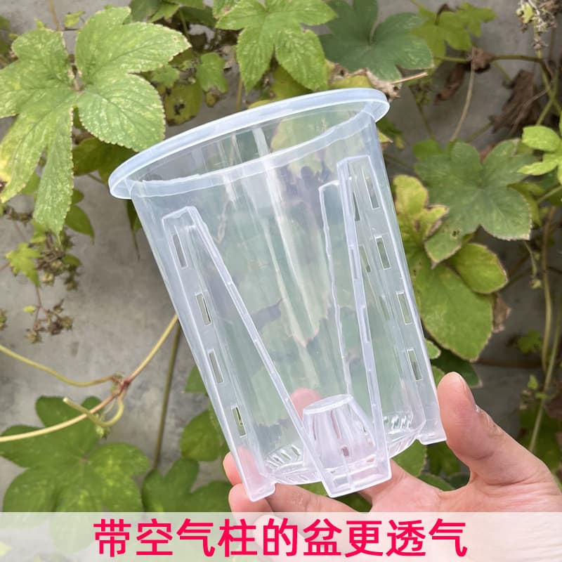 New Phalaenopsis Flower Pot Qingshan Root Control Perforated Flower Pot Philodendron Bamboo Alocasia Indoor Transparent Flower Pot Wholesale 1