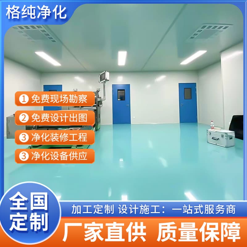 Undertake dust-free workshop purification engineering design and 100-level sterile food clean room clean workshop project 1
