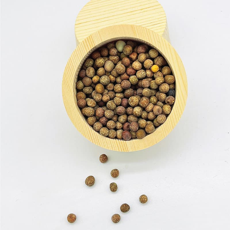 Parrot Bird Supplies Food Bowl Bird Cage Accessories Bird Food Basin Bird Tank Parrot Bird Breeding Supplies Accessories 3