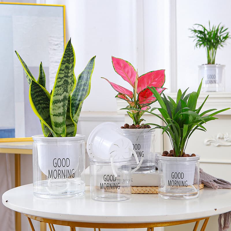 Automatic water-absorbing transparent lazy pot factory direct sales creative round office desktop green plant hydroponic plastic flower pot 2