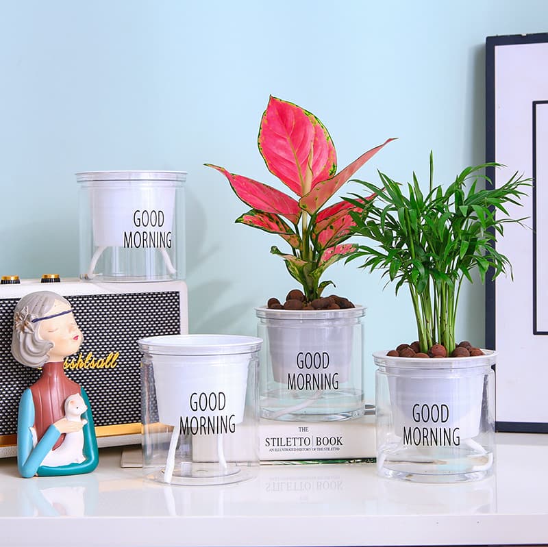 Automatic water-absorbing transparent lazy pot factory direct sales creative round office desktop green plant hydroponic plastic flower pot 3