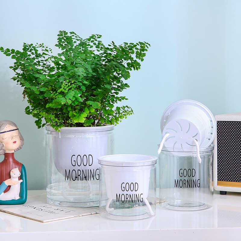 Automatic water-absorbing transparent lazy pot factory direct sales creative round office desktop green plant hydroponic plastic flower pot 4