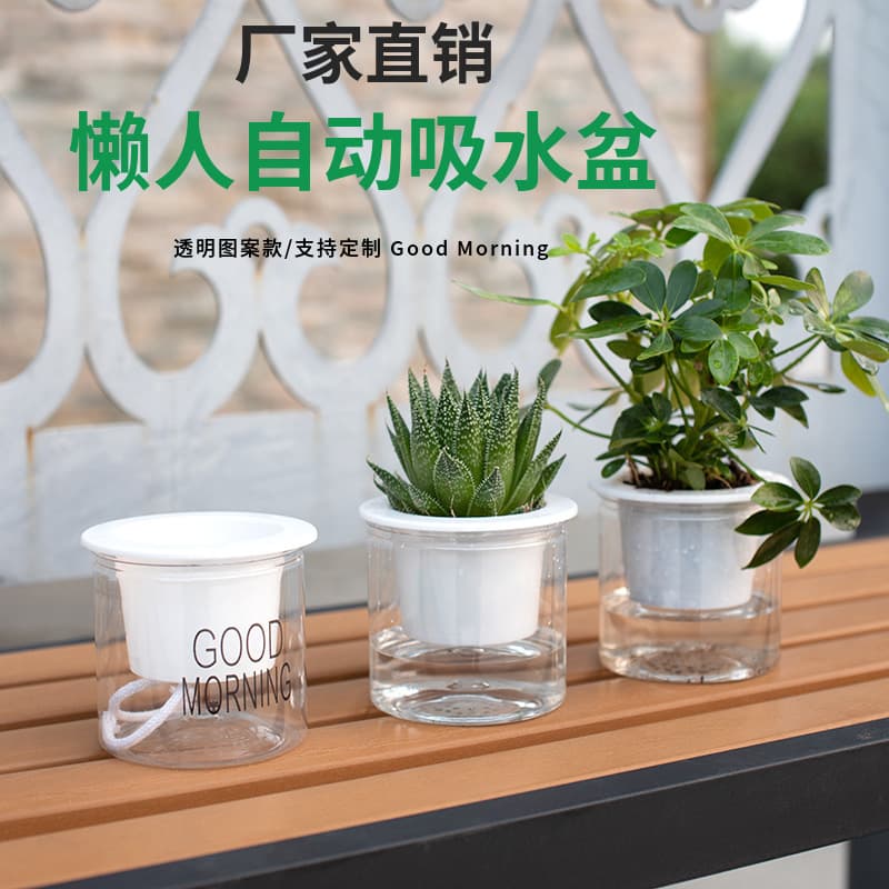 Automatic water-absorbing transparent lazy pot factory direct sales creative round office desktop green plant hydroponic plastic flower pot 5