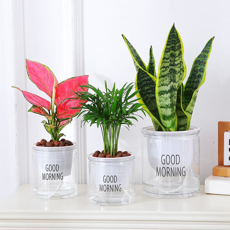Automatic water-absorbing transparent lazy pot factory direct sales creative round office desktop green plant hydroponic plastic flower pot 9