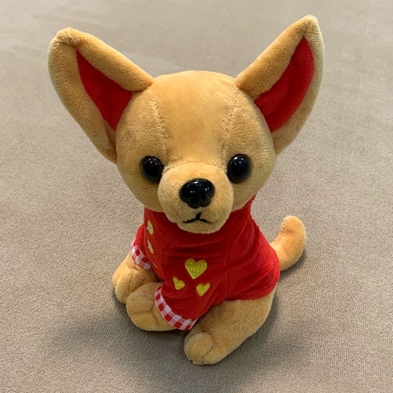 Hot Douyin Festival Birthday Gift Toy Gift Cute Plush Chihuahua Dog Doll Doll Manufacturer Wholesale 5