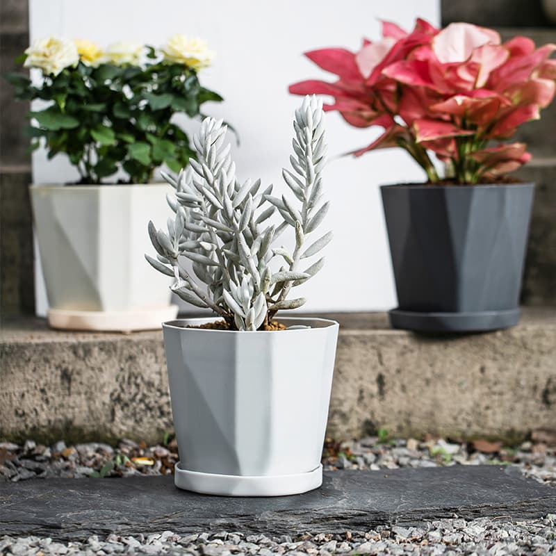 Plastic flower pots Nordic indoor balcony plants outdoor large large diameter wholesale gardening pothos succulent potted plants 3