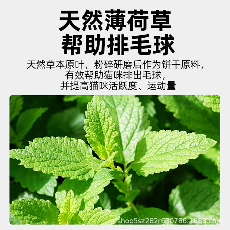 Suku Cat Grass Biscuits Cat Mint Cat Hair Remover Balls Dried Fish Kittens Adult Cats Teeth Cleaning and Molaring Sticks Cat Snacks 4