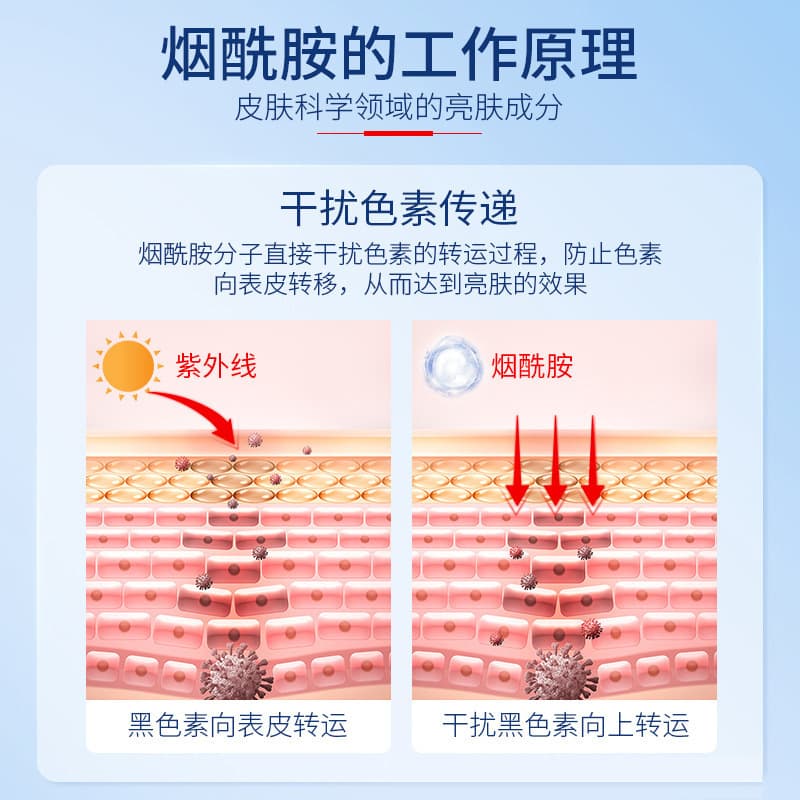 Niacinamide Essence High Concentration Improves Dark Yellow, Brightens Skin, Hydrates and Moisturizes, Second-Purpose Beauty Salon Genuine 5