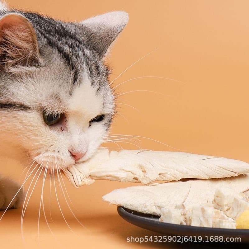 Pet freeze-dried cat snacks chicken small breast cat nutrition chicken breast chicken pellets cat food meat jerky dog ​​food 4