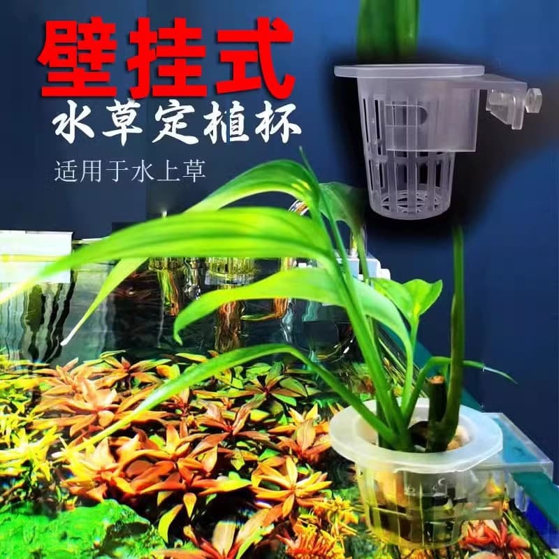 Yamazaki laurel planting cup water grass cup water grass hydroponic wall-mounted planting basket fish tank decoration landscaping accessories 2