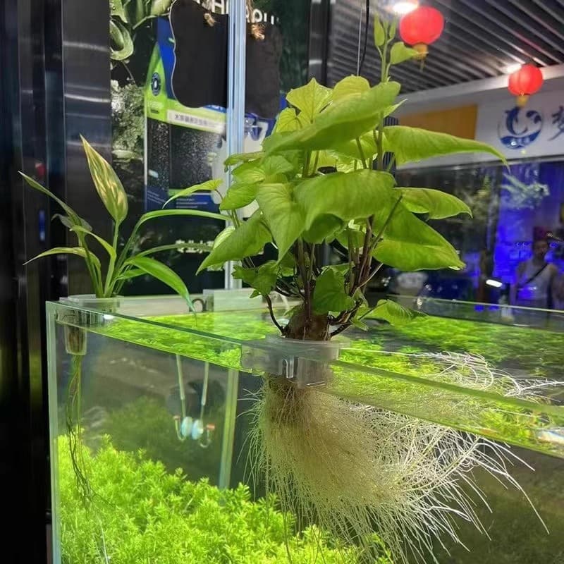 Yamazaki laurel planting cup water grass cup water grass hydroponic wall-mounted planting basket fish tank decoration landscaping accessories 4