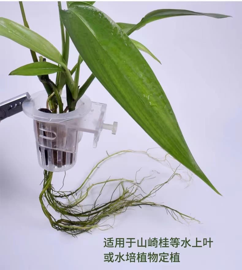 Yamazaki laurel planting cup water grass cup water grass hydroponic wall-mounted planting basket fish tank decoration landscaping accessories 6