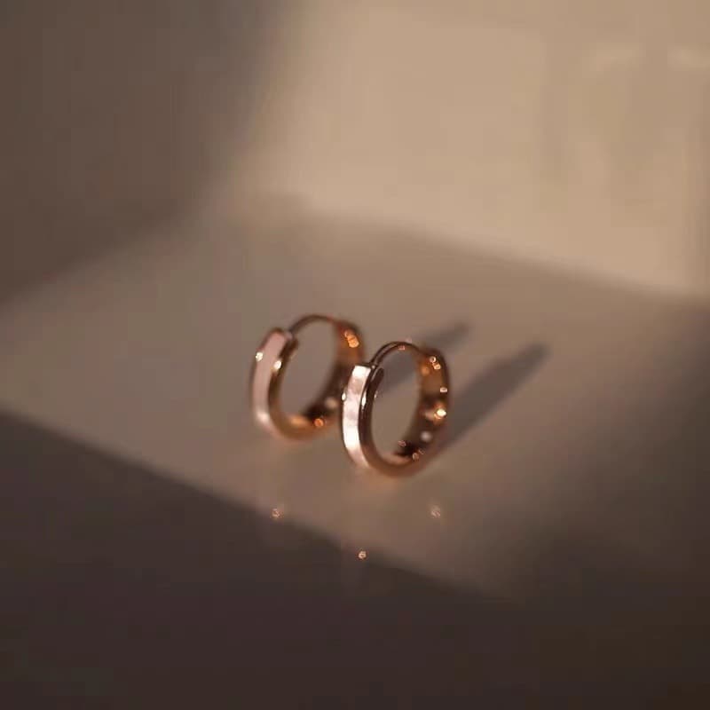 Simple plain hoop earrings for women 2023 new popular niche ins high-end light luxury cold style design earrings 2
