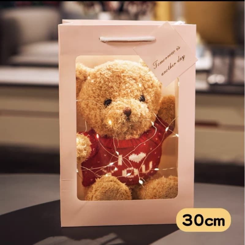 Christmas bear couple gift I LOVE YOU love confession Teddy brown bear plush toy doll 5