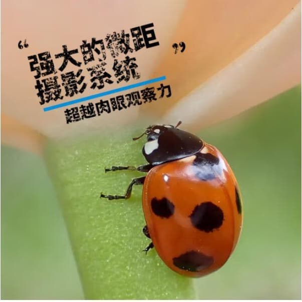 Spot National Bank genuine Austrian Heart TG-7 sports digital camera macro outdoor travel 4K waterproof TG7 6