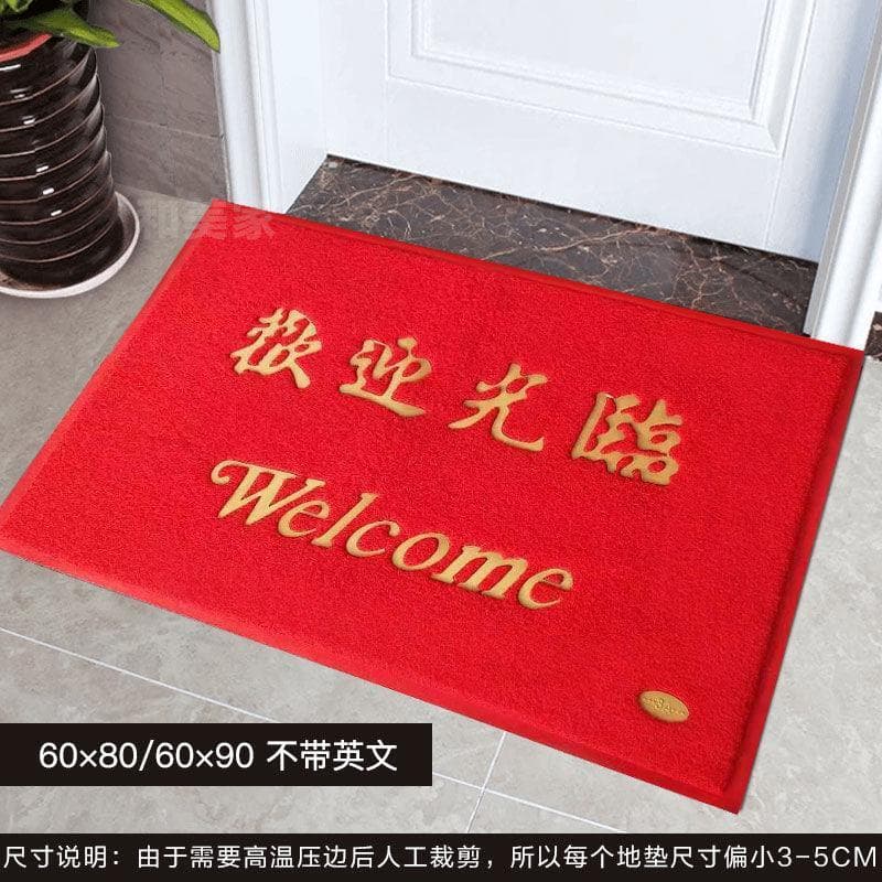 Door mat entrance and exit safe door mat carpet entry hotel hotel welcome to anti-slip household floor mats 5