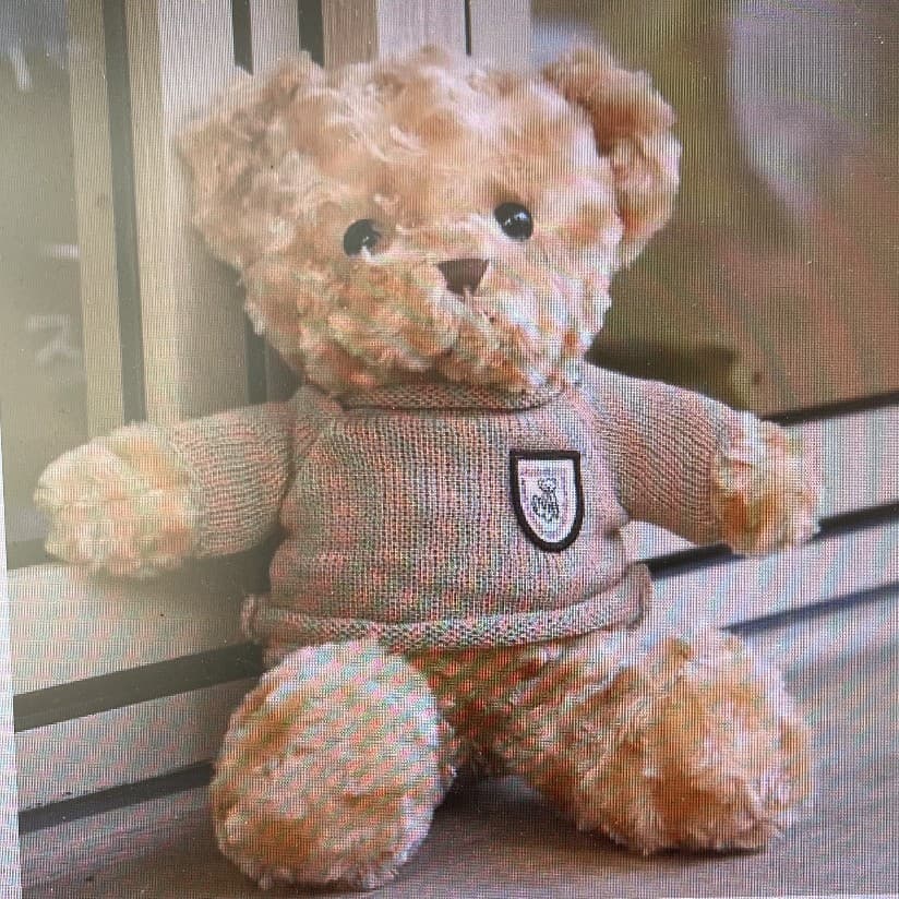 Teddy Bear Sweater Bear Doll Plush Toy Floor Push Ring Valentine's Day Gift Printed Logo Wholesale 3