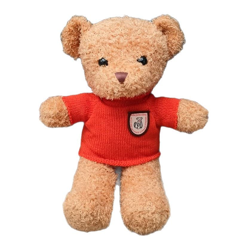 Teddy Bear Sweater Bear Doll Plush Toy Floor Push Ring Valentine's Day Gift Printed Logo Wholesale 6