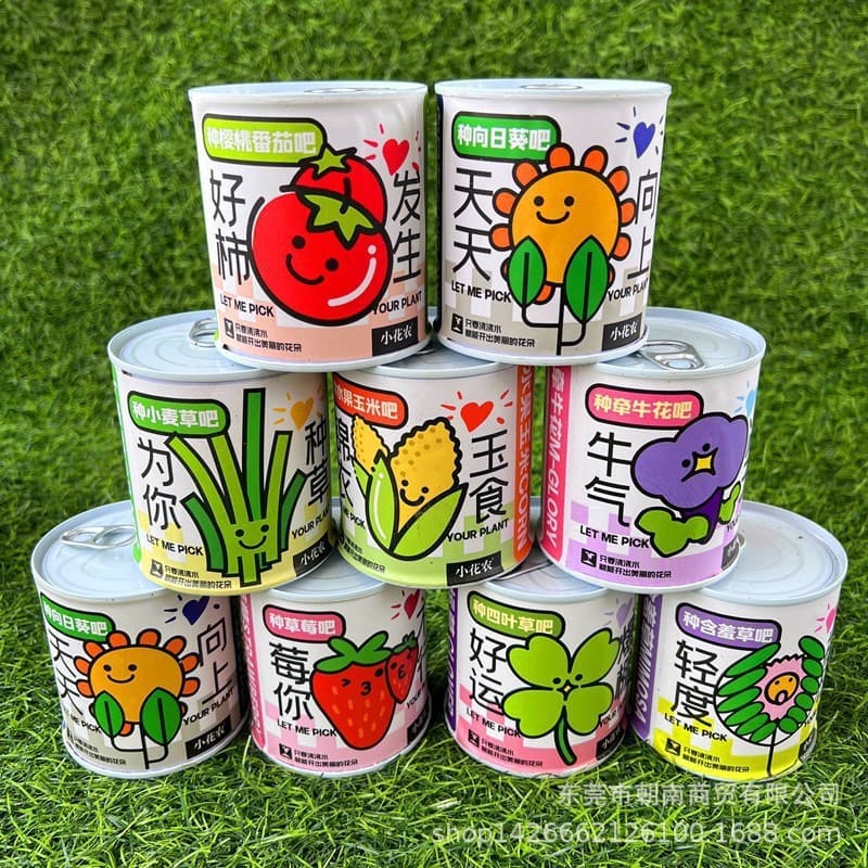 School opening gift blind box potted kindergarten gift indoor planting flower seeds student desktop green plant potted plant 2