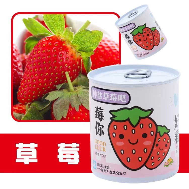 School opening gift blind box potted kindergarten gift indoor planting flower seeds student desktop green plant potted plant 3