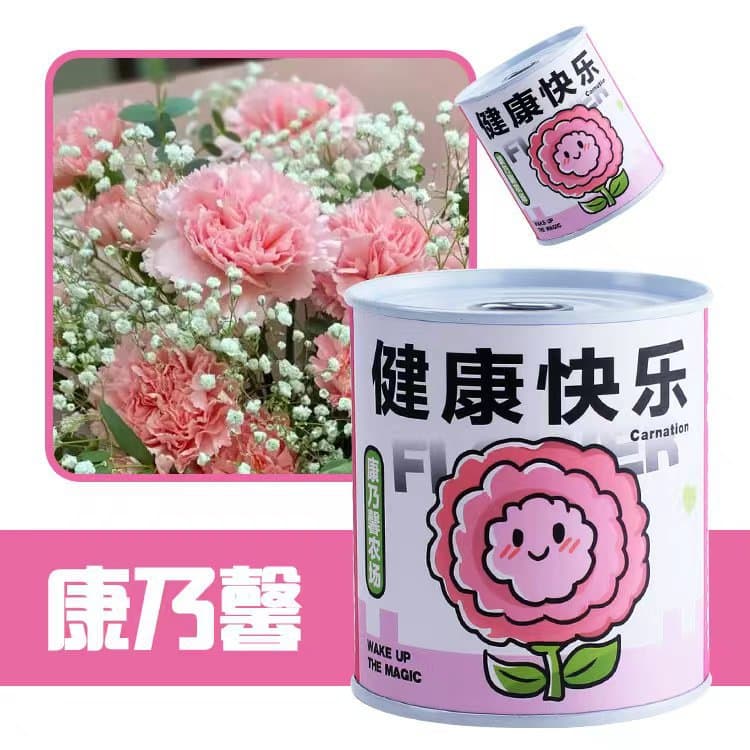 School opening gift blind box potted kindergarten gift indoor planting flower seeds student desktop green plant potted plant 4