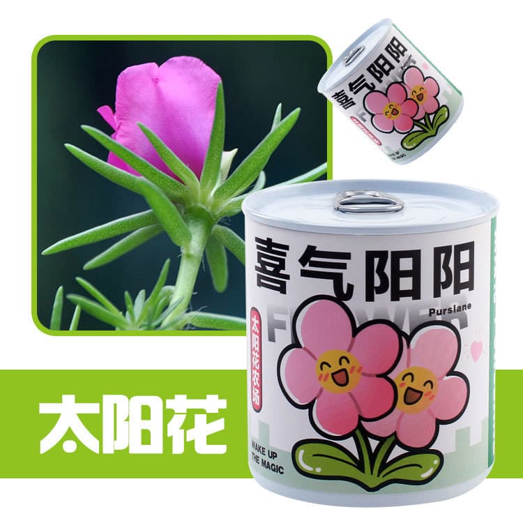 School opening gift blind box potted kindergarten gift indoor planting flower seeds student desktop green plant potted plant 7