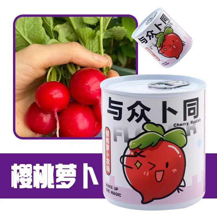 School opening gift blind box potted kindergarten gift indoor planting flower seeds student desktop green plant potted plant 8