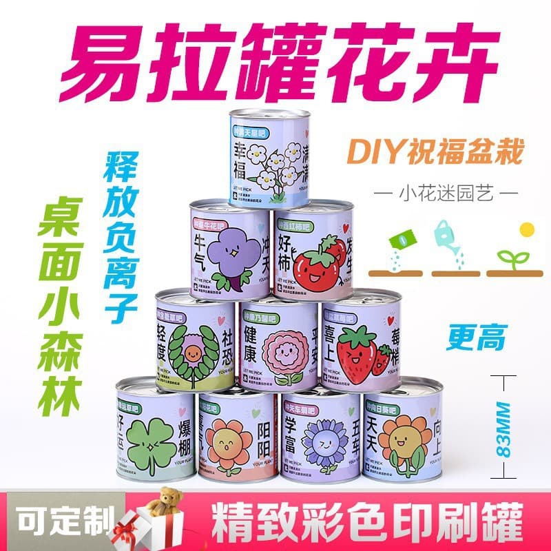 School opening gift blind box potted kindergarten gift indoor planting flower seeds student desktop green plant potted plant 9