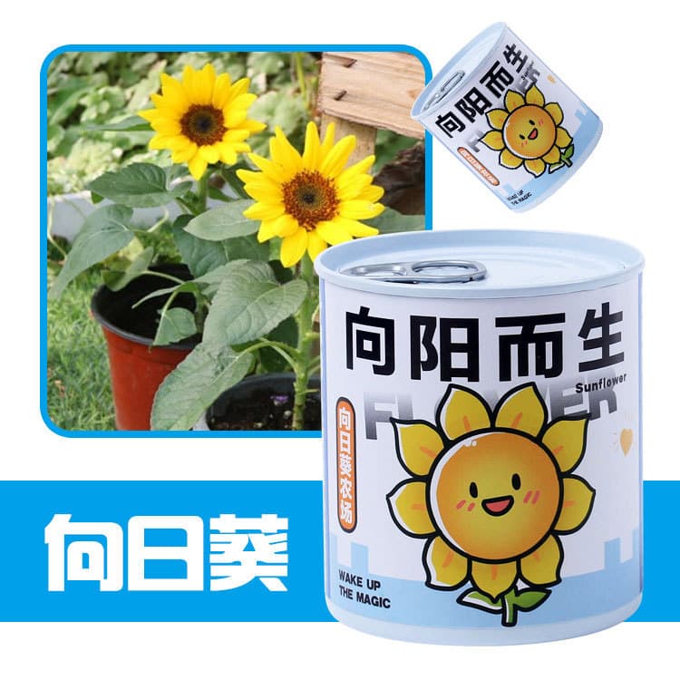 School opening gift blind box potted kindergarten gift indoor planting flower seeds student desktop green plant potted plant 10