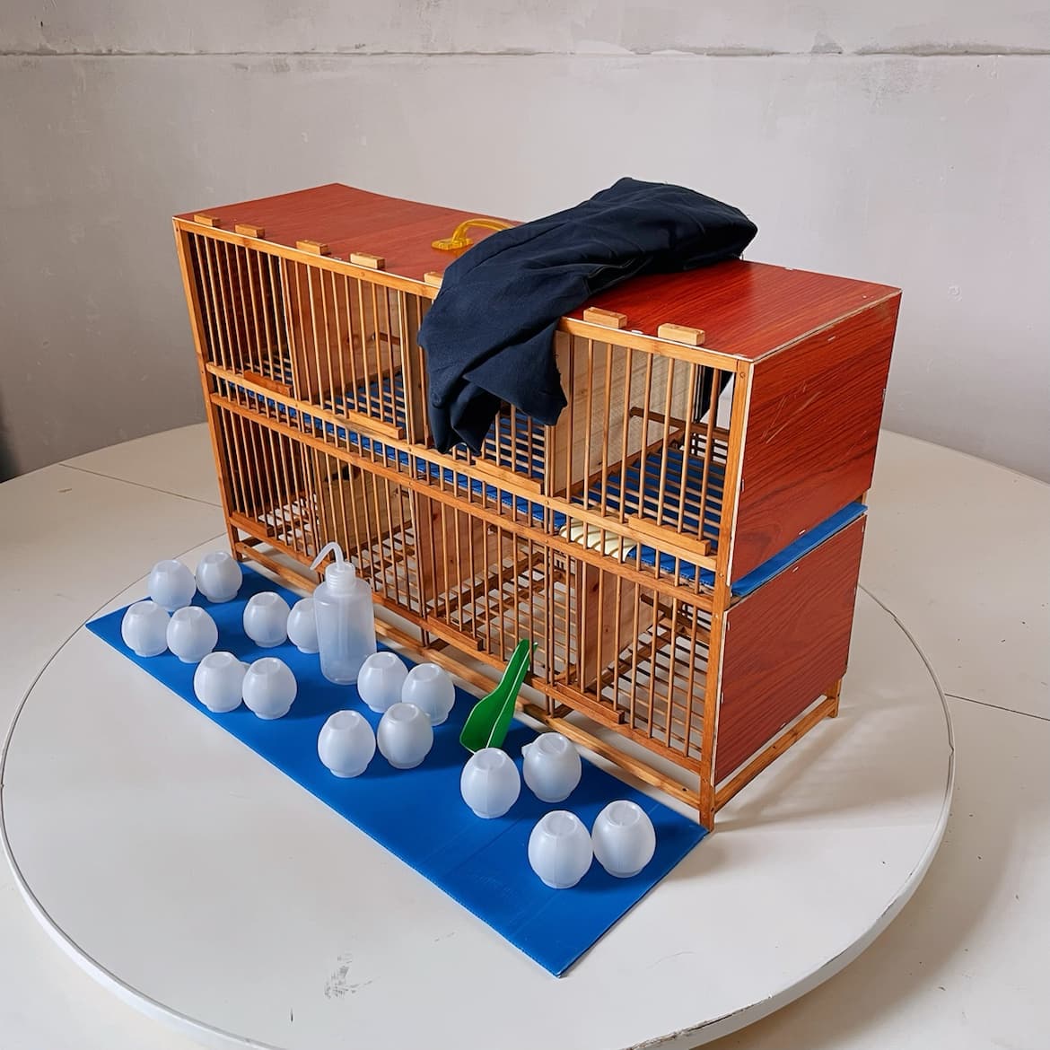 Large sealed board old bamboo bubble oil cage thrush double row cage raw bird special bird cage transport cage up the mountain bird cage 8