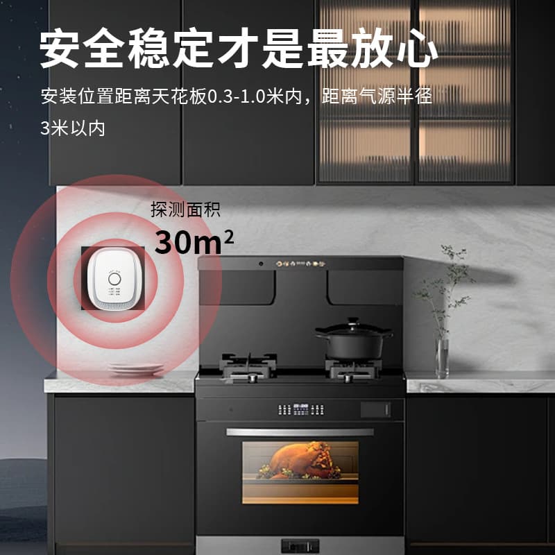 Tuya Smart WiFi Gas Alarm Home Kitchen Gas Leak Sensor Detector APP Remote Control 4